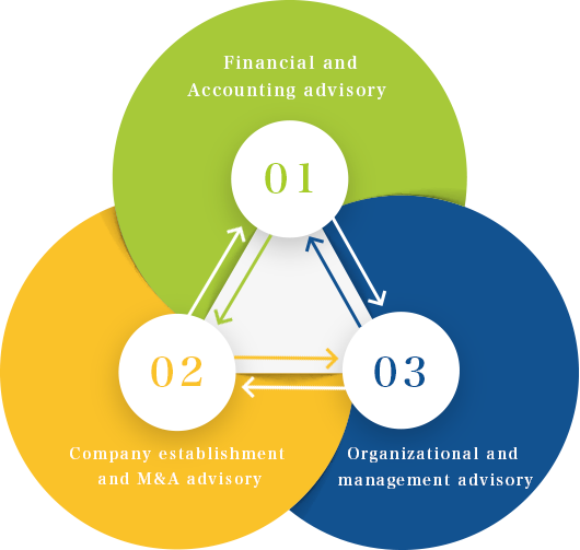 01 Financial and Accounting advisory/ 02 Company establishment and M&A advisory/ 03 Organizational and Management advisory